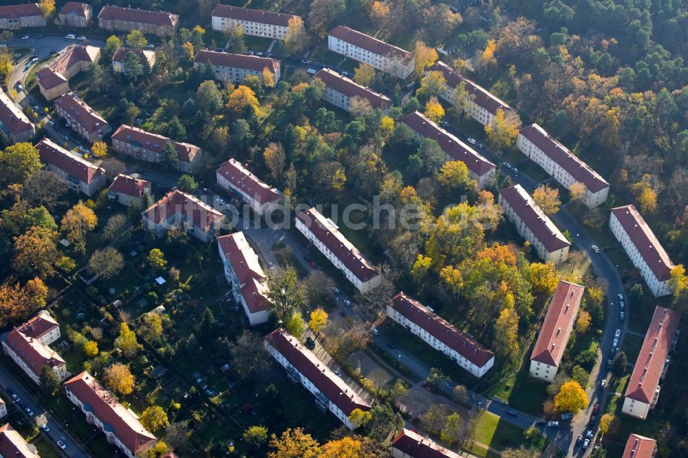 Potsdam von oben - Wohngebiet einer Reihenhaus- Siedlung im Ortsteil Potsdam Süd in Potsdam im Bundesland Brandenburg, Deutschland