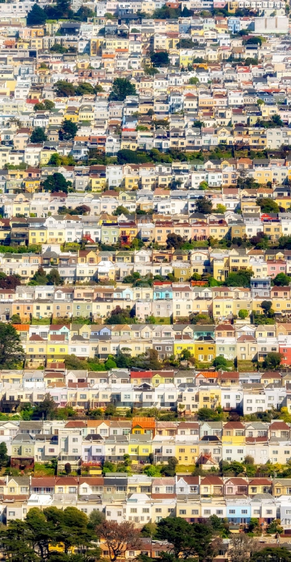 Luftaufnahme San Francisco - Wohngebiet einer Reihenhaus- Siedlung Outer Richond mit Balboa Street, Cabrillo Street und Fulton Street in San Francisco in Kalifornien, USA