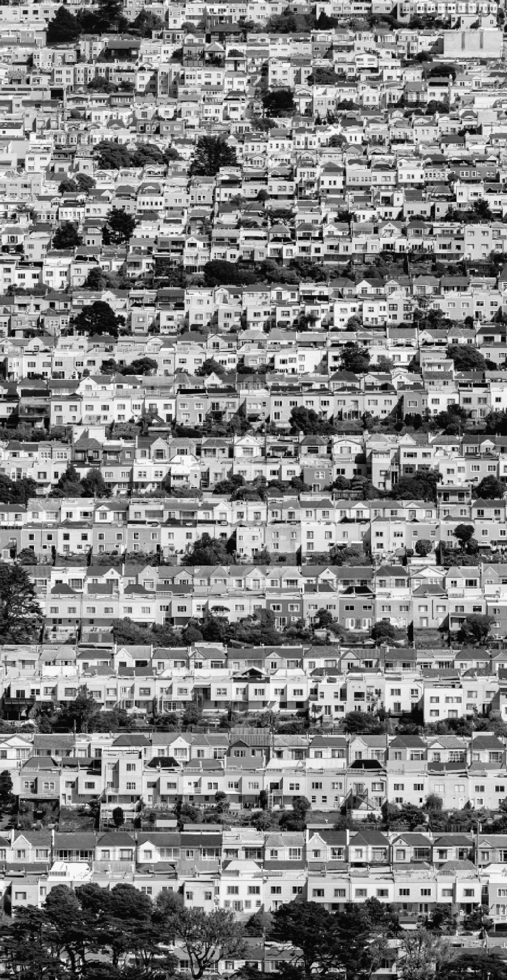 San Francisco von oben - Wohngebiet einer Reihenhaus- Siedlung Outer Richond mit Balboa Street, Cabrillo Street und Fulton Street in San Francisco in Kalifornien, USA