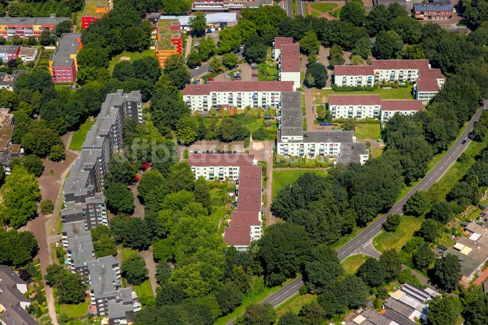 Luftbild Dorsten - Wohngebiet einer Reihenhaus- Siedlung Wittenberger Damm in Dorsten im Bundesland Nordrhein-Westfalen