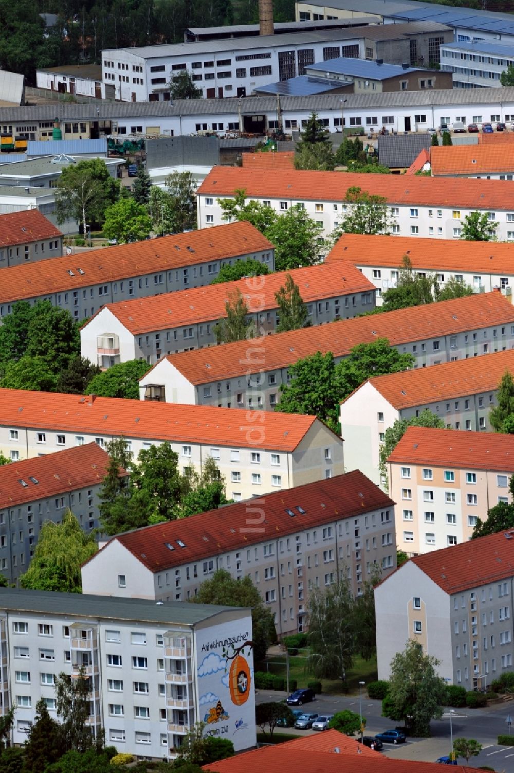 Torgau von oben - Wohngebiet Torgau-Nordwest im Bundesland Sachsen