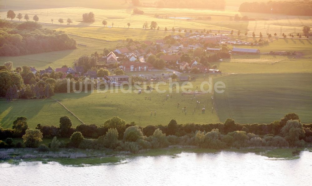 Luftbild Klink - Wohngebiet am Ufer der Müritz in Klink im Bundesland Mecklenburg-Vorpommern