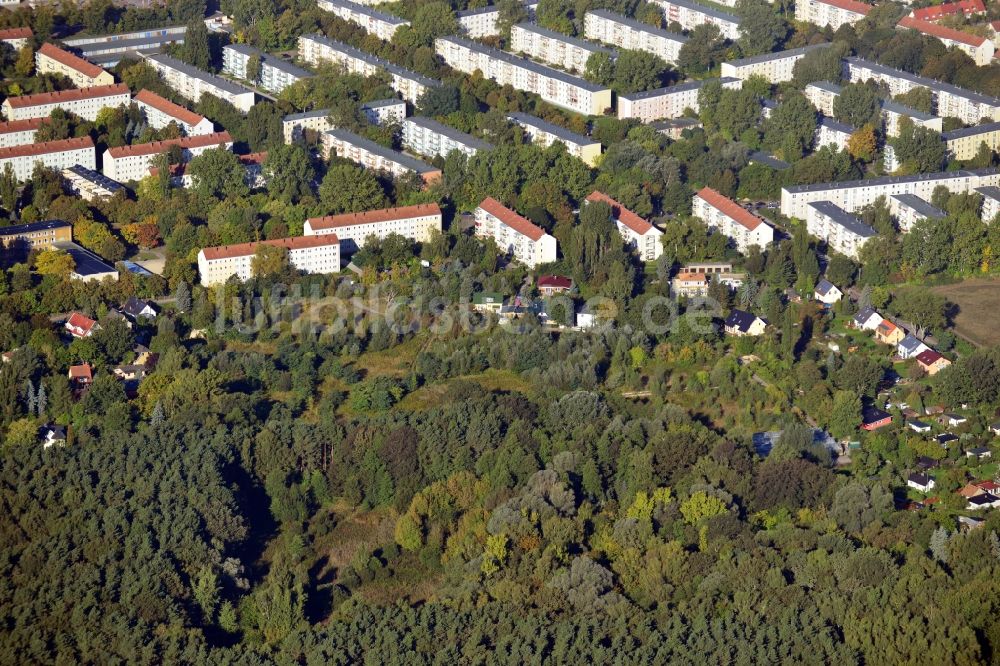 Berlin aus der Vogelperspektive: Wohngebiet zwischen Dregerhoffstraße und Lienhardweg mit Grünflächen des Stadtwalds Köpenicker Forst in Berlin - Köpenick