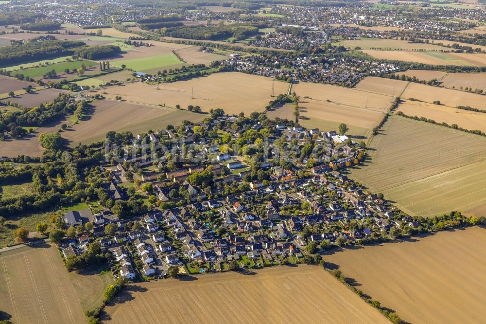 Luftbild Massen - Wohngebiets- Siedlung an der Buderusstraße in Massen im Bundesland Nordrhein-Westfalen, Deutschland