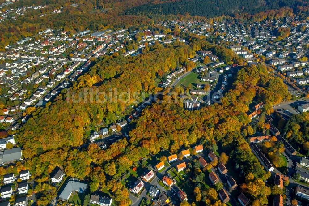 Neheim aus der Vogelperspektive: Wohngebiets- Siedlung in und um den herbstlich bunten Wald an der Engelbertstraße im Süden von Neheim im Bundesland Nordrhein-Westfalen