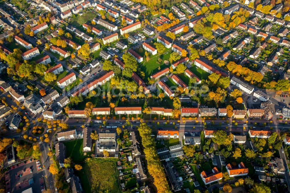 Gladbeck aus der Vogelperspektive: Wohngebiets- Siedlung nördlich der Horster Straße in Gladbeck im Bundesland Nordrhein-Westfalen