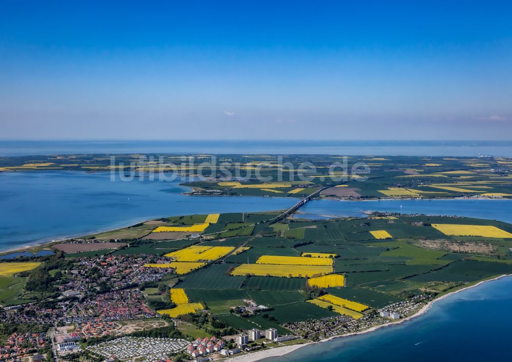 Großenbrode von oben - Wohnhaus- Bebauung auf der Halbinsel mit landwirtschaftlichen Feldern in Großenbrode im Bundesland Schleswig-Holstein, Deutschland