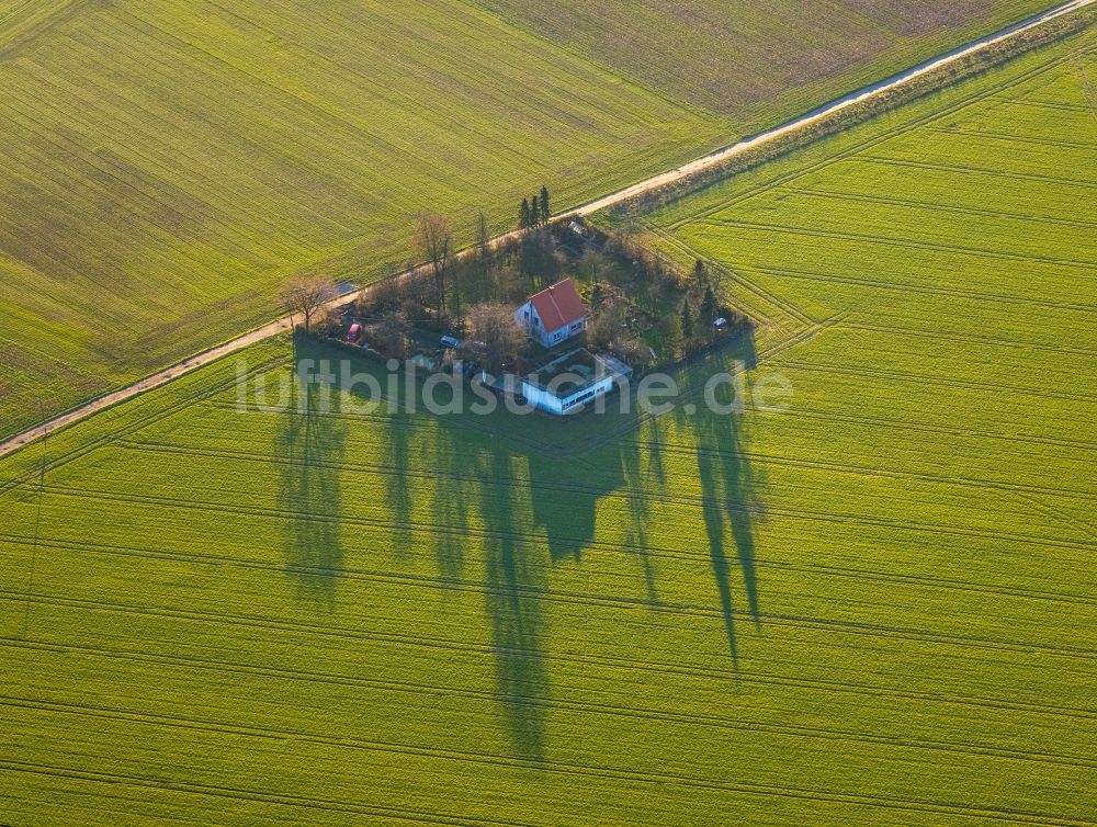 Luftbild Beckhausen - Wohnhaus auf einem Feld in Beckhausen im Bundesland Nordrhein-Westfalen, Deutschland