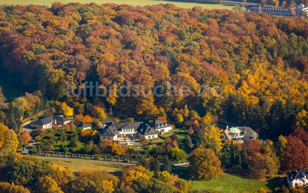 Luftbild Neheim - Wohnhäuser am Waldrand am Totenberg in Neheim im Bundesland Nordrhein-Westfalen