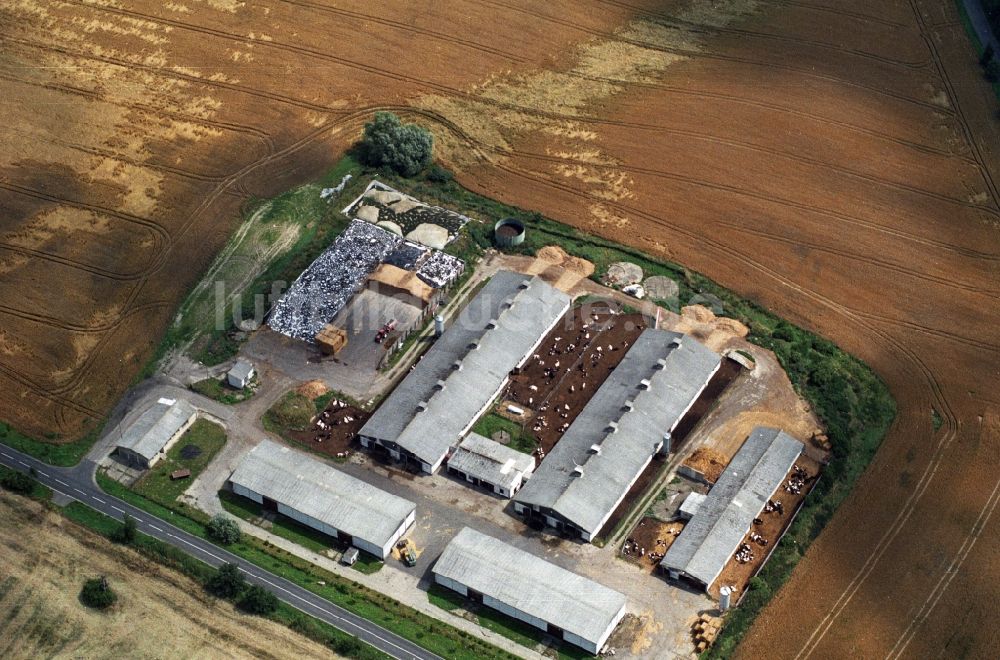 Luftaufnahme Seelow - Wohnneubau - Siedlung Am Spring - Gartenstraße in Seelow im Bundesland Brandenburg