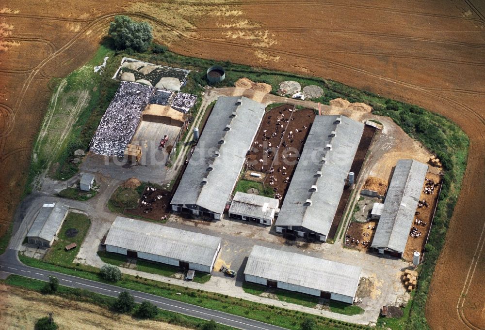 Seelow aus der Vogelperspektive: Wohnneubau - Siedlung Am Spring - Gartenstraße in Seelow im Bundesland Brandenburg