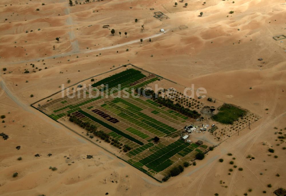 Dubai von oben - Wüste Dubai