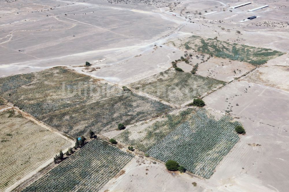 Luftaufnahme Nazca - Wüsten- Landschaft in Nazca in Ica, Peru