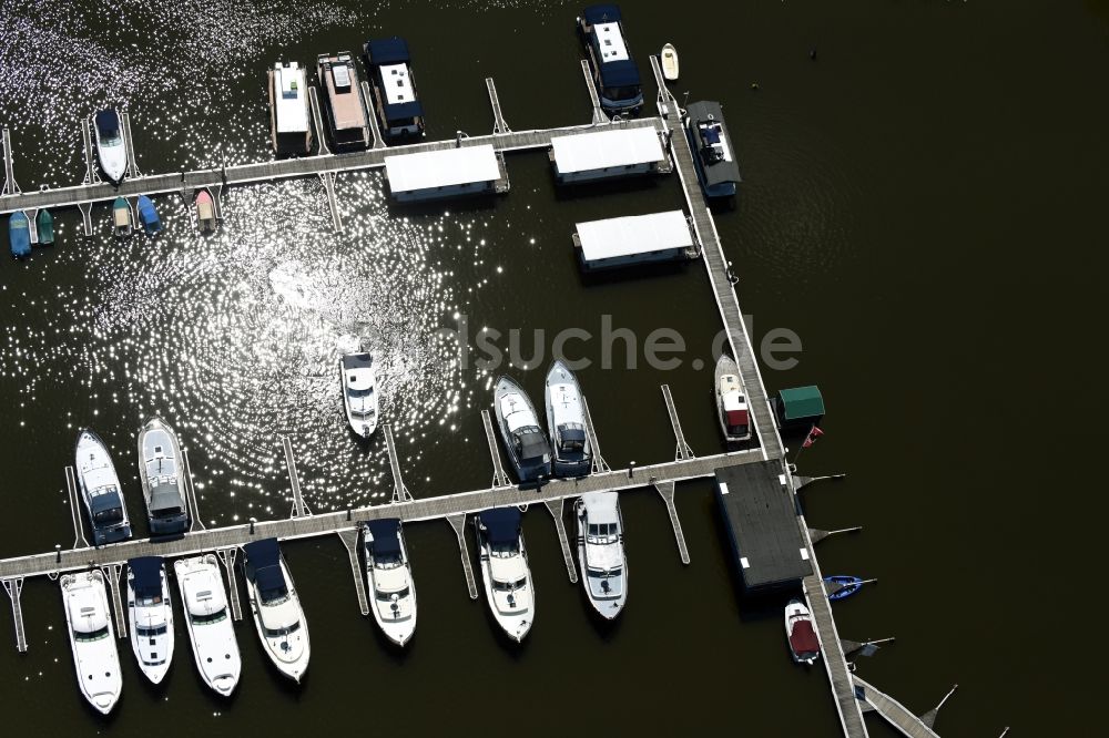 Buchholz von oben - Yachthafen mit Anlegestellen und Bootsliegeplätzen am Uferbereich des Müritzsees in Buchholz im Bundesland Mecklenburg-Vorpommern