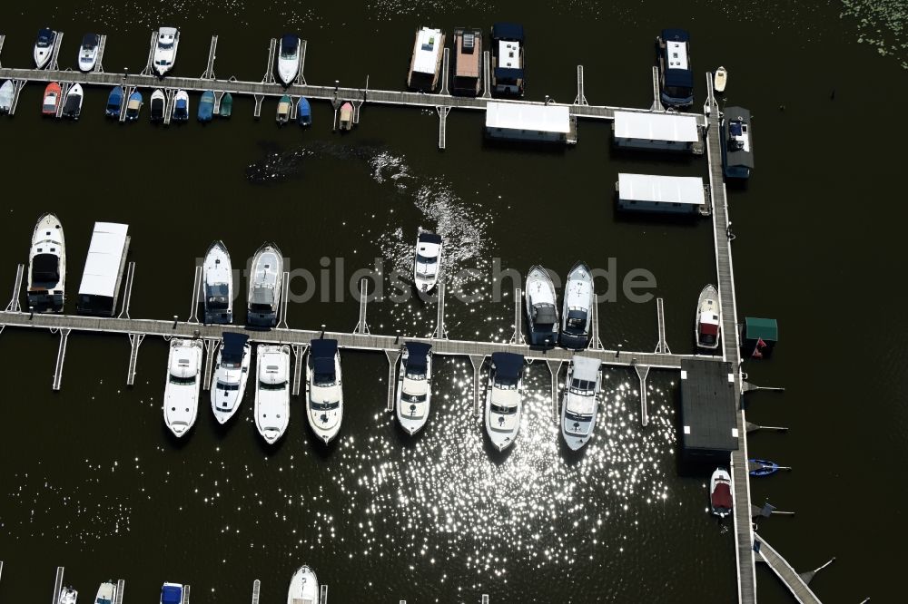 Luftaufnahme Buchholz - Yachthafen mit Anlegestellen und Bootsliegeplätzen am Uferbereich des Müritzsees in Buchholz im Bundesland Mecklenburg-Vorpommern