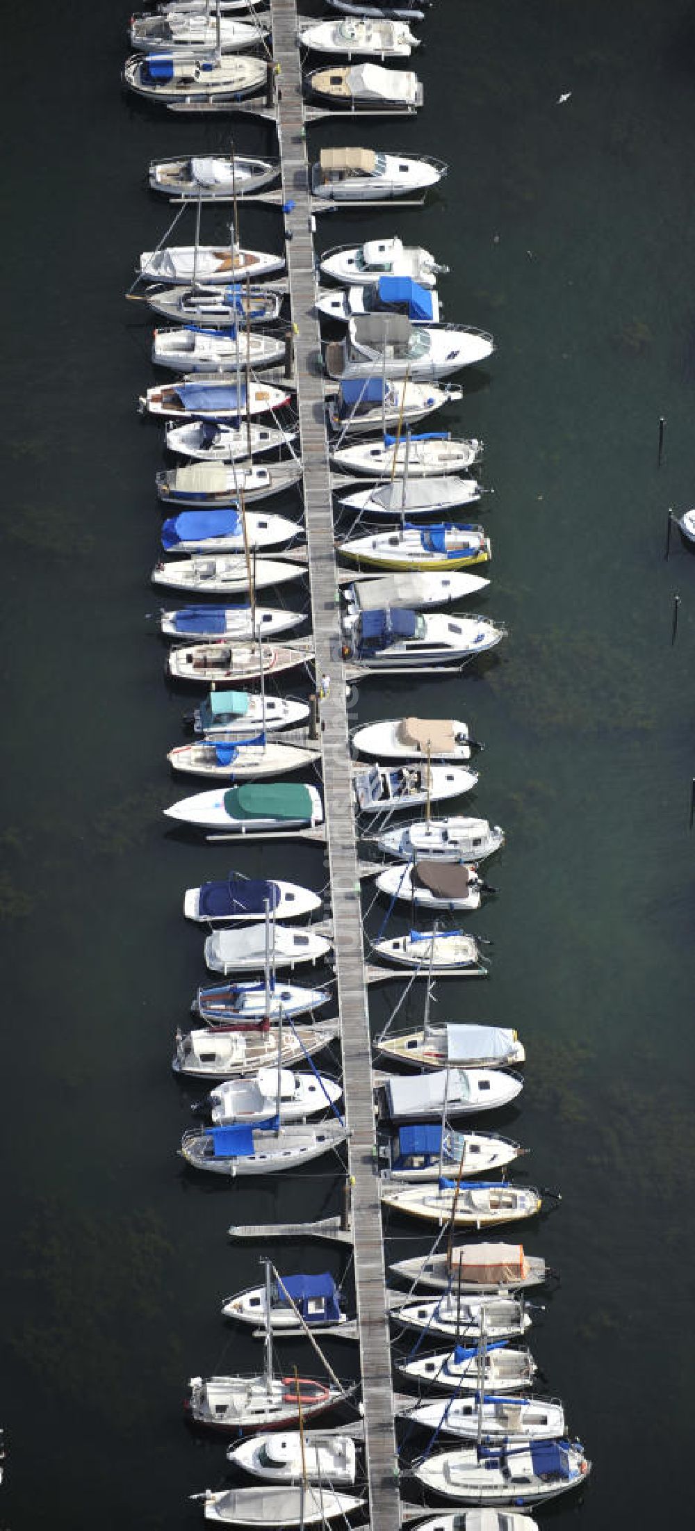 Luftaufnahme Neustadt in Holstein - Yachthafen in Neustadt an der Ostsee