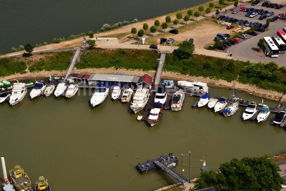 Luftbild Nochern - Yachthafen in Sankt Goar im Bundesland Rheinland-Pfalz