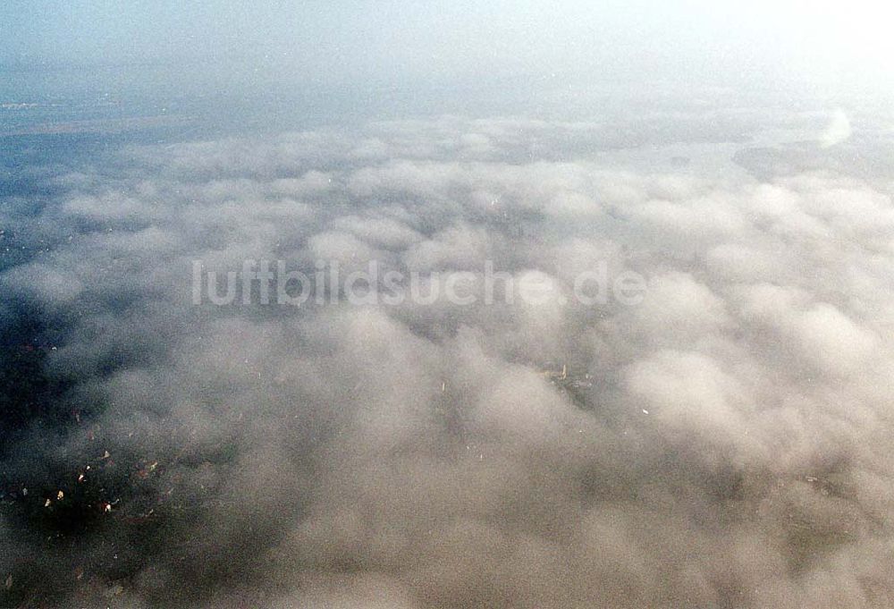 Luftaufnahme Zeuthen / Brandenburg - Zeuthen / Brandenburg Blick auf eine dichte Nebeldecke über dem Zeuthener See