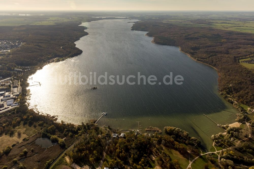 Luftbild Neustrelitz - Zierker See an der Mecklenburgische Seenplatte in Neustrelitz im Bundesland Mecklenburg-Vorpommern