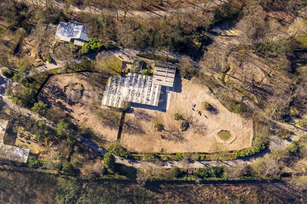 Duisburg aus der Vogelperspektive: Zoogelände am Tierpark an der Carl-Benz-Straße in Duisburg im Bundesland Nordrhein-Westfalen