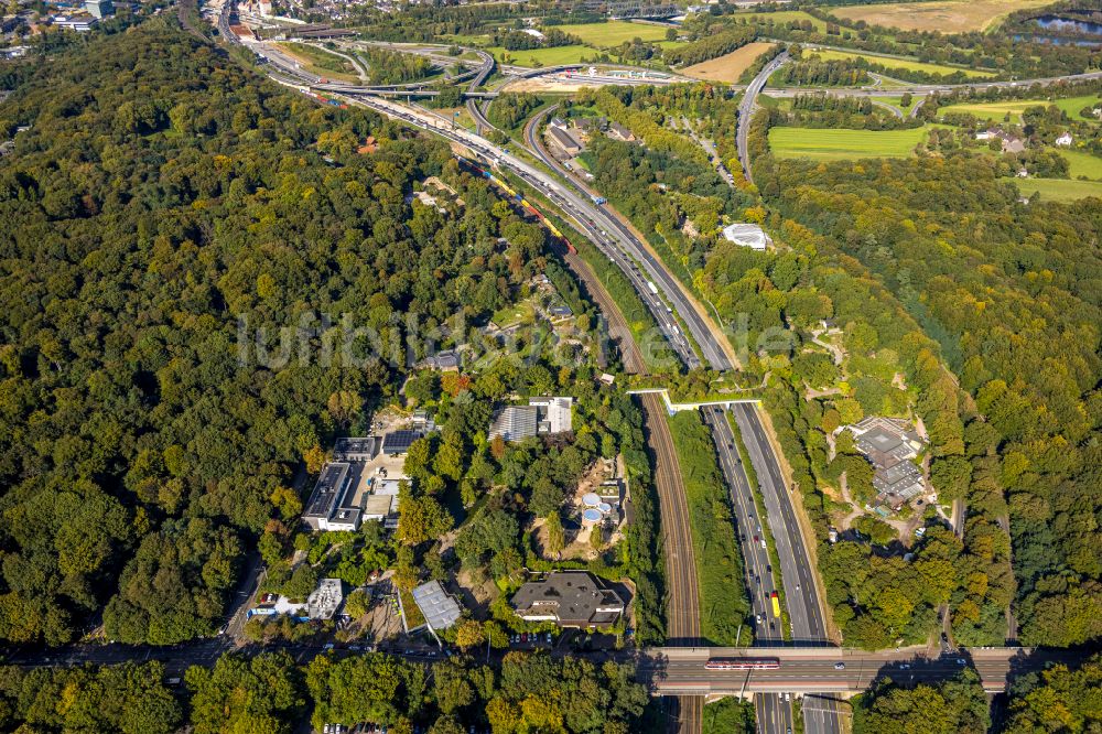 Duisburg von oben - Zoogelände am Tierpark an der Carl-Benz-Straße in Duisburg im Bundesland Nordrhein-Westfalen