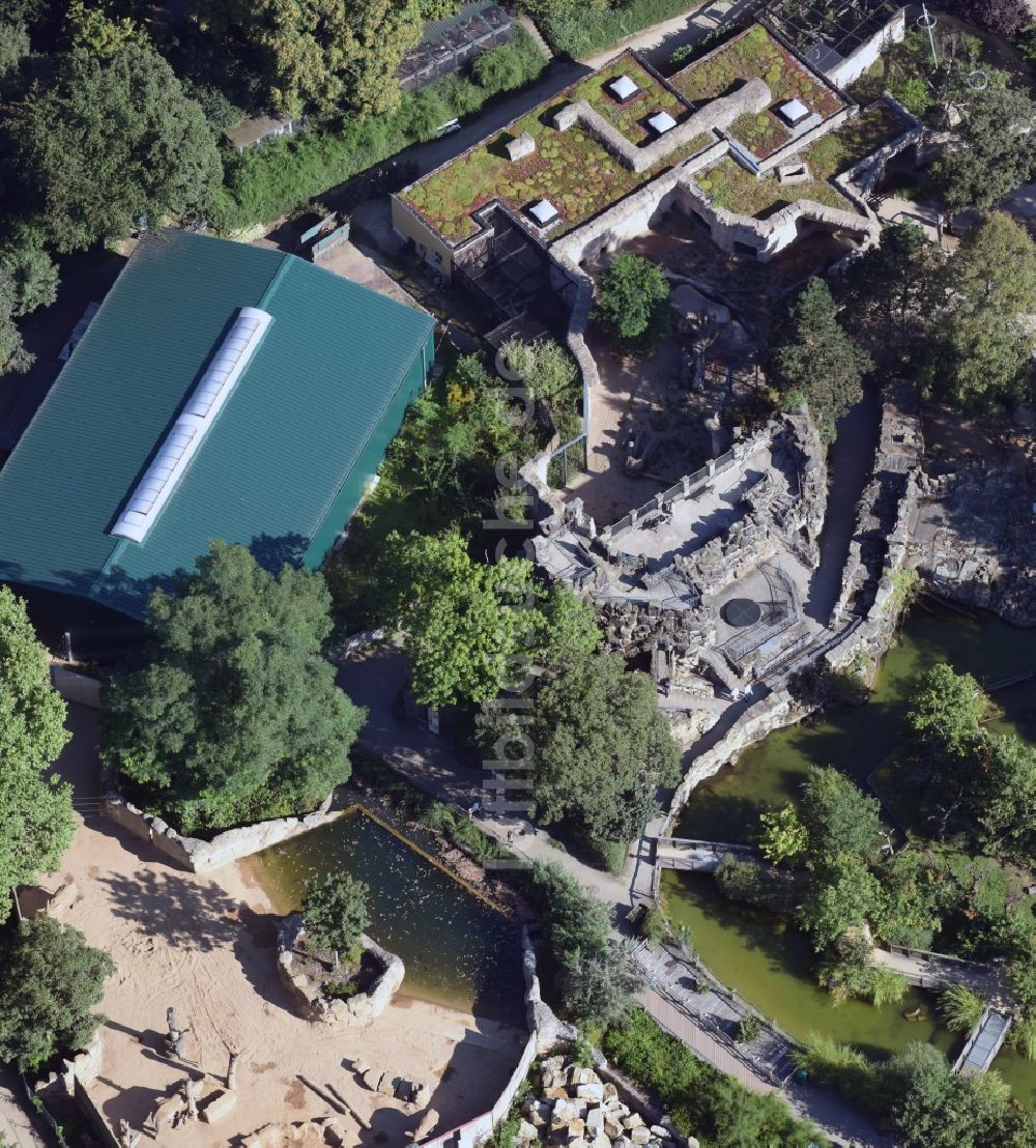 Dresden aus der Vogelperspektive: Zoogelände am Tierpark Zoo Dresden in Dresden im Bundesland Sachsen