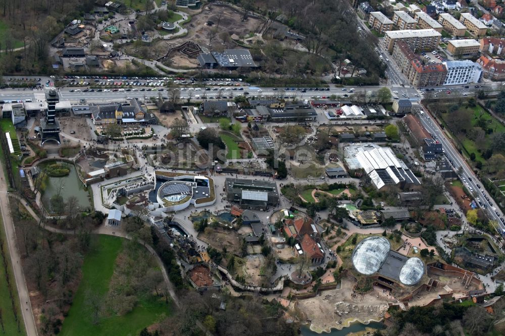 Luftbild Frederiksberg - Zoogelände am Tierpark Zoo Kopenhagen Roskildevej in Frederiksberg in Region Hovedstaden, Dänemark