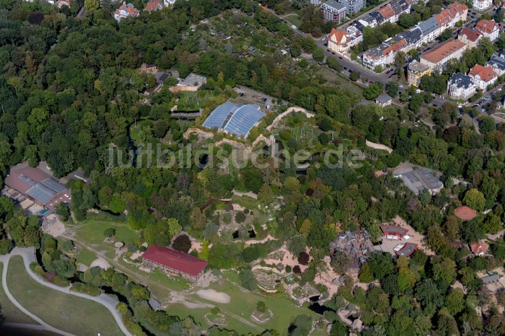 Leipzig von oben - Zoogelände am Tierpark Zoo Leipzig am Kickerlingsberg in Leipzig im Bundesland Sachsen, Deutschland