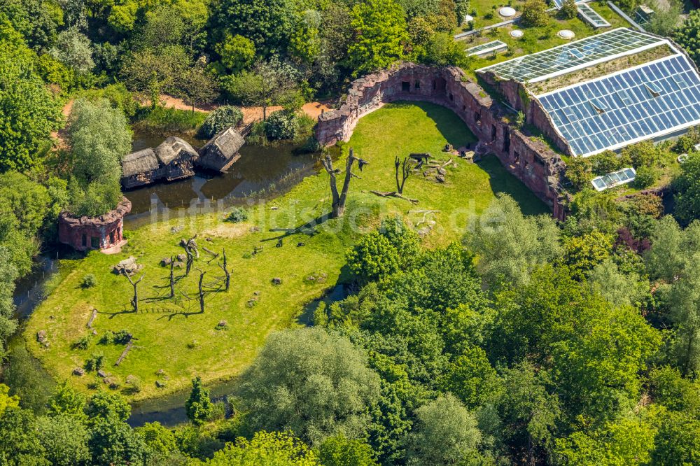 Gelsenkirchen von oben - Zoogelände am Tierpark ZOOM Erlebniswelt in Gelsenkirchen im Bundesland Nordrhein-Westfalen, Deutschland