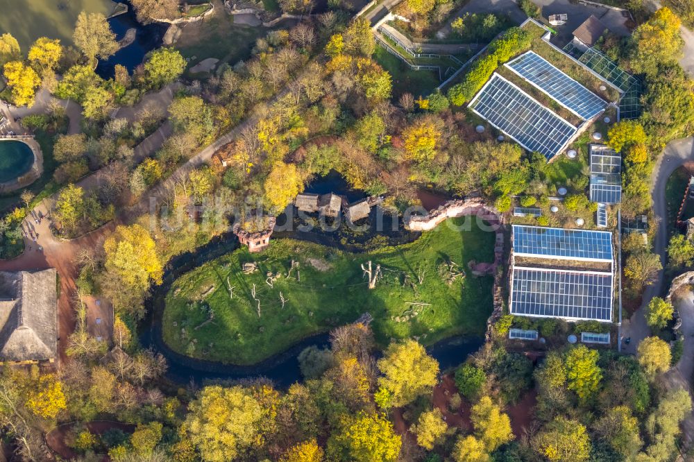 Gelsenkirchen von oben - Zoogelände am Tierpark ZOOM Erlebniswelt im Ortsteil Bismarck in Gelsenkirchen im Bundesland Nordrhein-Westfalen, Deutschland