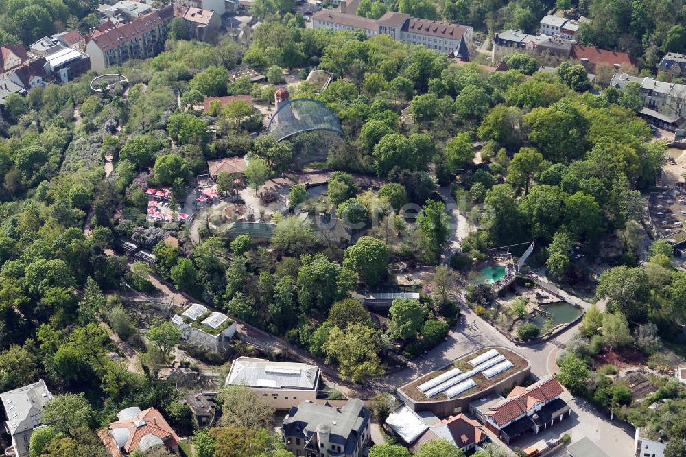 Luftaufnahme Halle / Saale - Zoologische Garten Halle