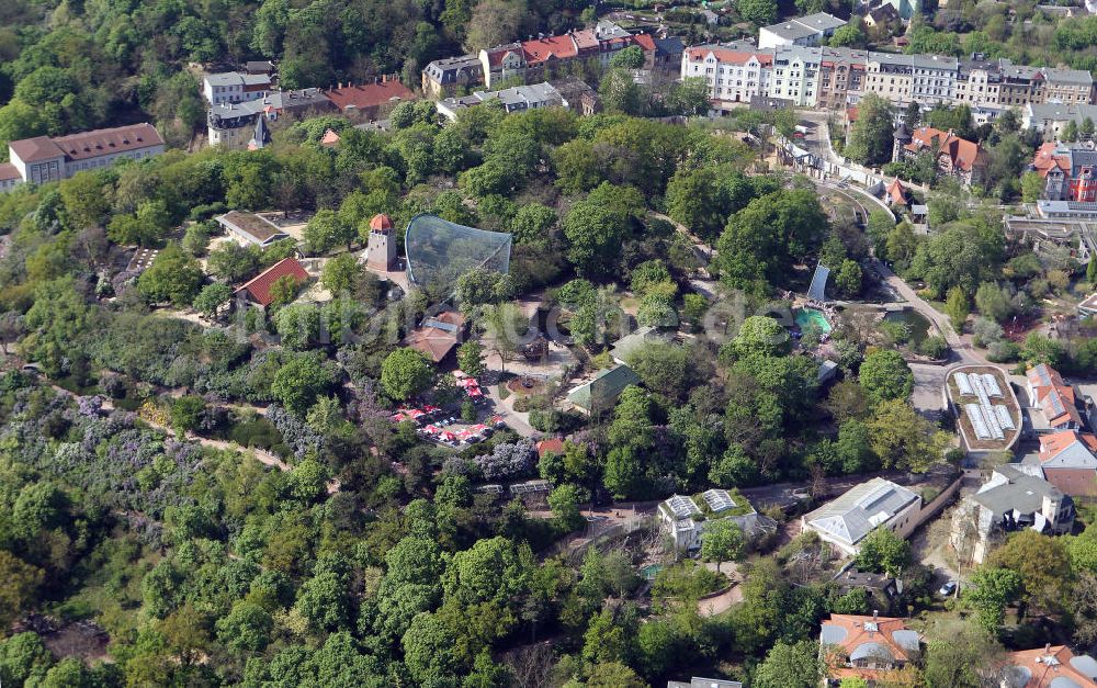 Halle / Saale von oben - Zoologische Garten Halle