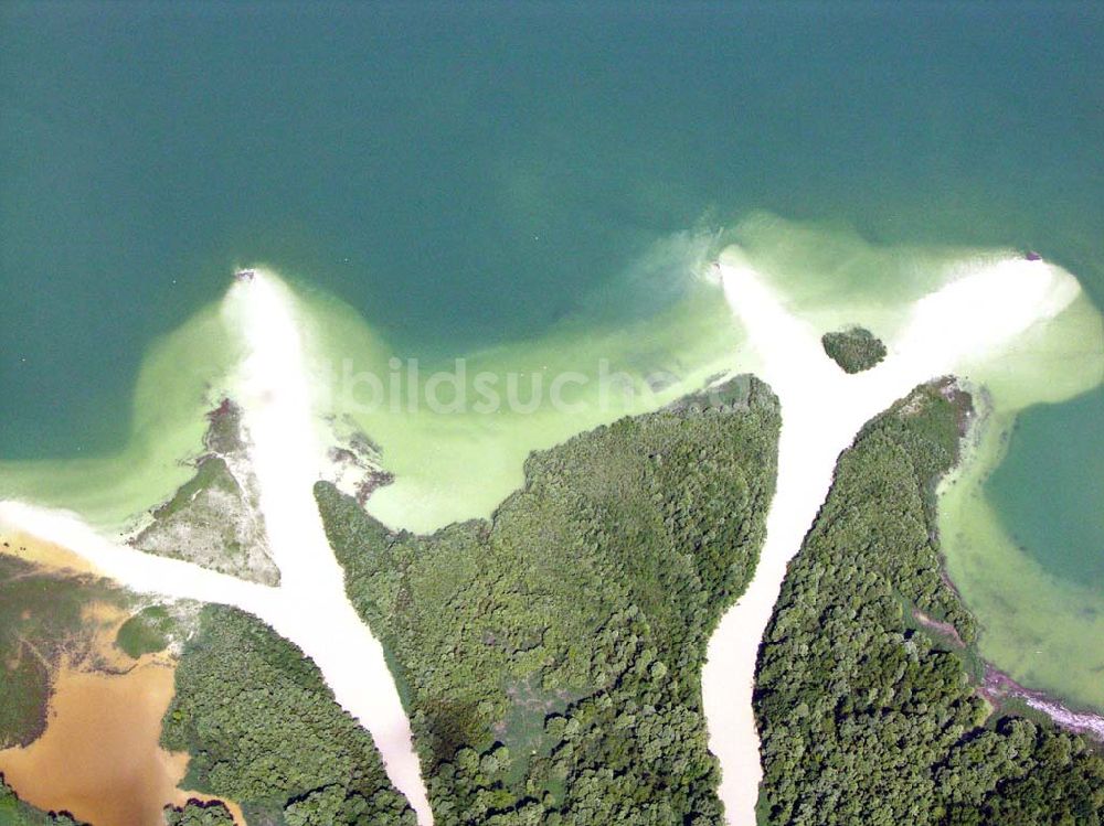 Chiemsee von oben - Zufluss der Achen in den Chiemsee - Bayern