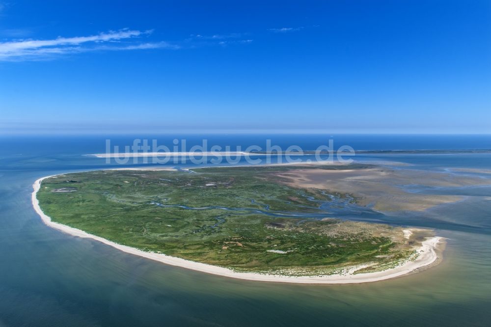 Nordseeinsel Memmert aus der Vogelperspektive: Zusammenlaufende Fluß- verläufe mit Mäander auf der Nordsee- Insel Memmert bei Juist mit der vorgelagerten Sandbank Kachelotplate im Bundesland Niedersachsen