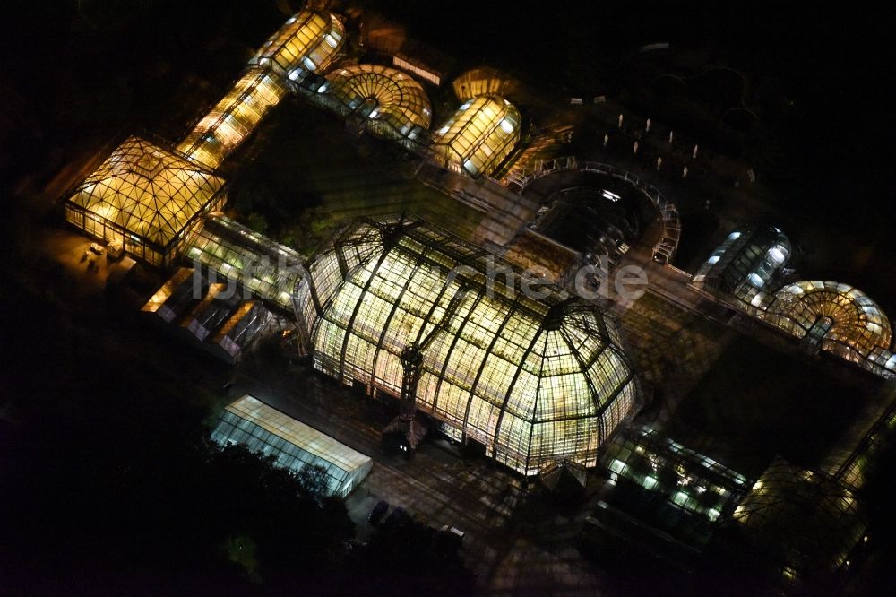 Berlin bei Nacht von oben - Nachtluftbild der Hauptgebäude und Gewächshäuser- Komplex im Botanischen Garten Berlin-Dahlem in Berlin