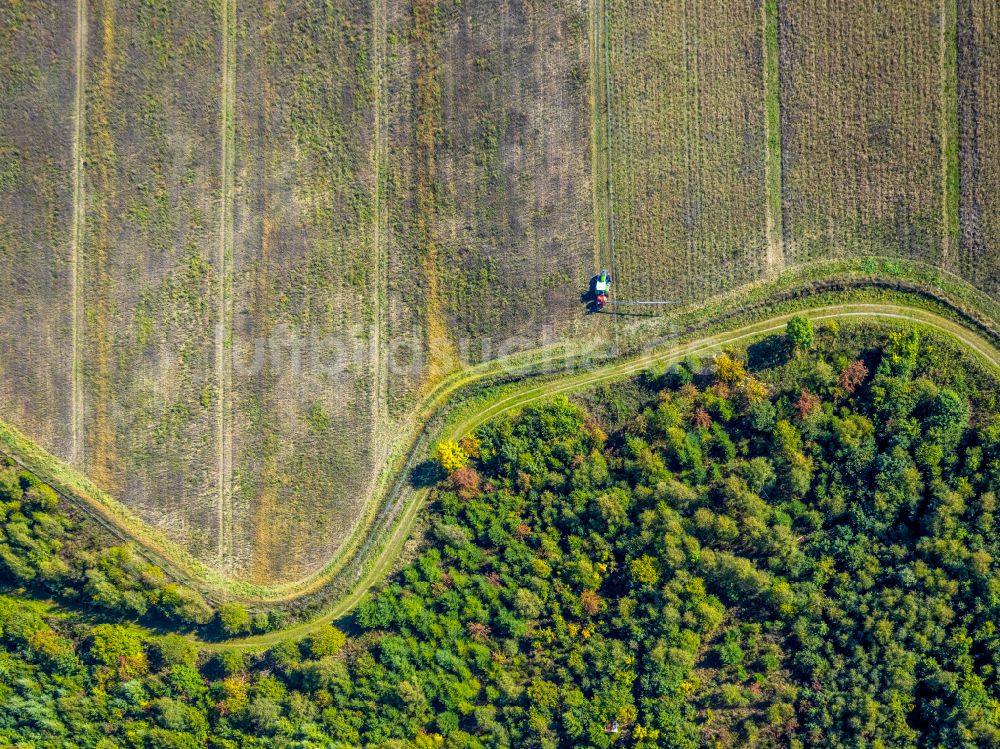 Senkrecht-Luftbild Gleidorf - Senkrechtluftbild Abgeerntete Kornfeld-Strukturen auf einem Getreidefeld in Gleidorf im Bundesland Nordrhein-Westfalen, Deutschland