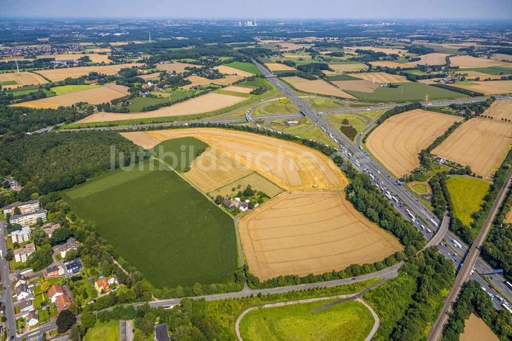 Senkrecht-Luftbild Kamen - Autobahnkreuz der BAB A1 A2 Kamener Kreuz in Kamen im Bundesland Nordrhein-Westfalen, Deutschland