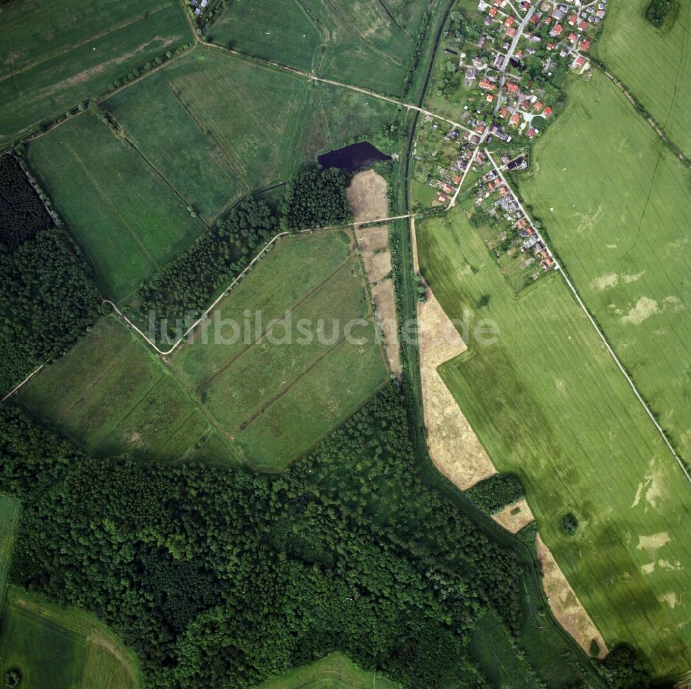 Senkrecht-Luftbild Ostseebad Boltenhagen - Senkrechtluftbild der Meeres-Küste der Ostsee in Ostseebad Boltenhagen im Bundesland Mecklenburg-Vorpommern