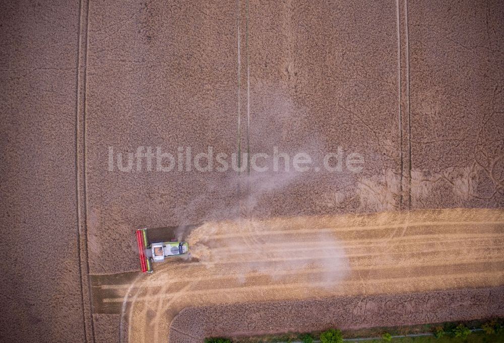 Senkrecht-Luftbild Lützow - Senkrechtluftbild Ernteeinsatz auf landwirtschaftlichen Feldern in Lützow im Bundesland Mecklenburg-Vorpommern, Deutschland