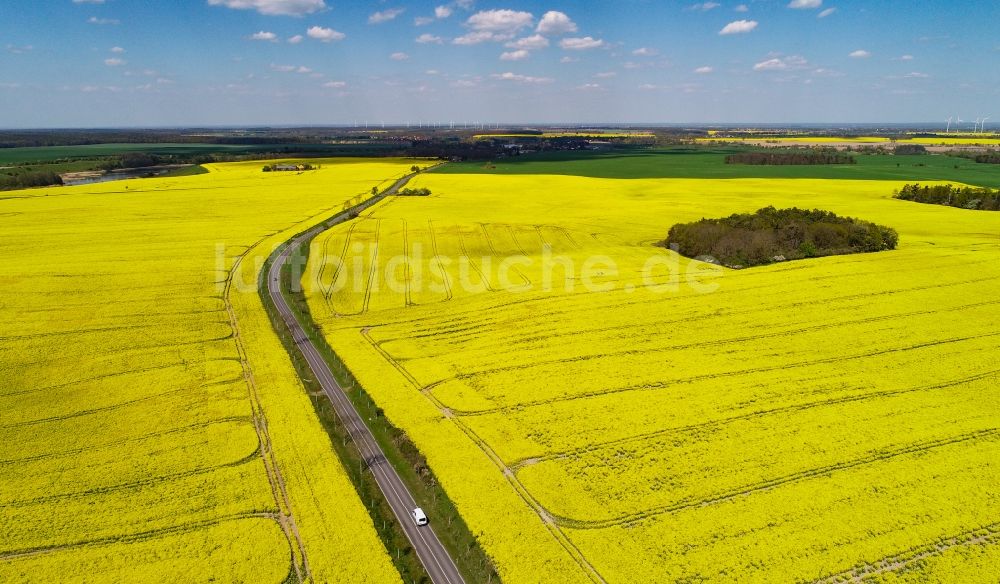 Senkrecht-Luftbild Falkenhagen (Mark) - Senkrechtluftbild Feld- Landschaft gelb blühender Raps- Blüten in Falkenhagen (Mark) im Bundesland Brandenburg, Deutschland