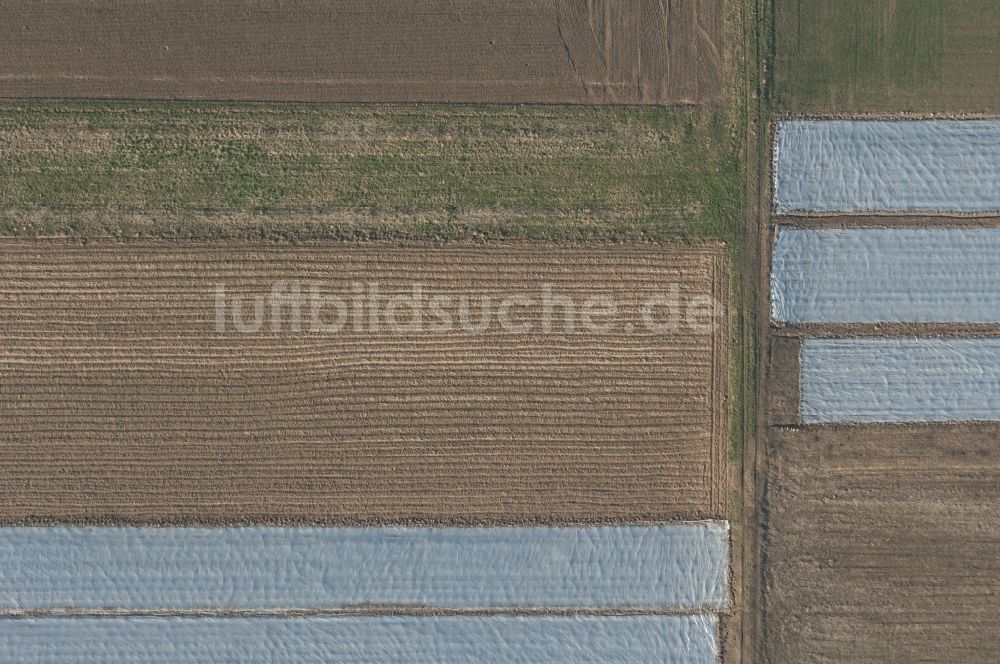 Senkrecht-Luftbild Pulheim - Senkrechtluftbild Feld mit Plastikfolie in Pulheim im Bundesland Nordrhein-Westfalen, Deutschland