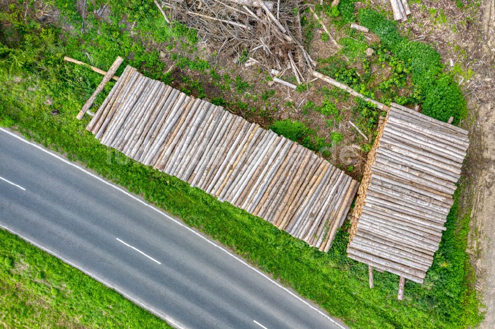 Senkrecht-Luftbild Odenthal - Senkrechtluftbild Gefällte Baumstämme an einem Waldgrundstück in Odenthal im Bundesland Nordrhein-Westfalen, Deutschland