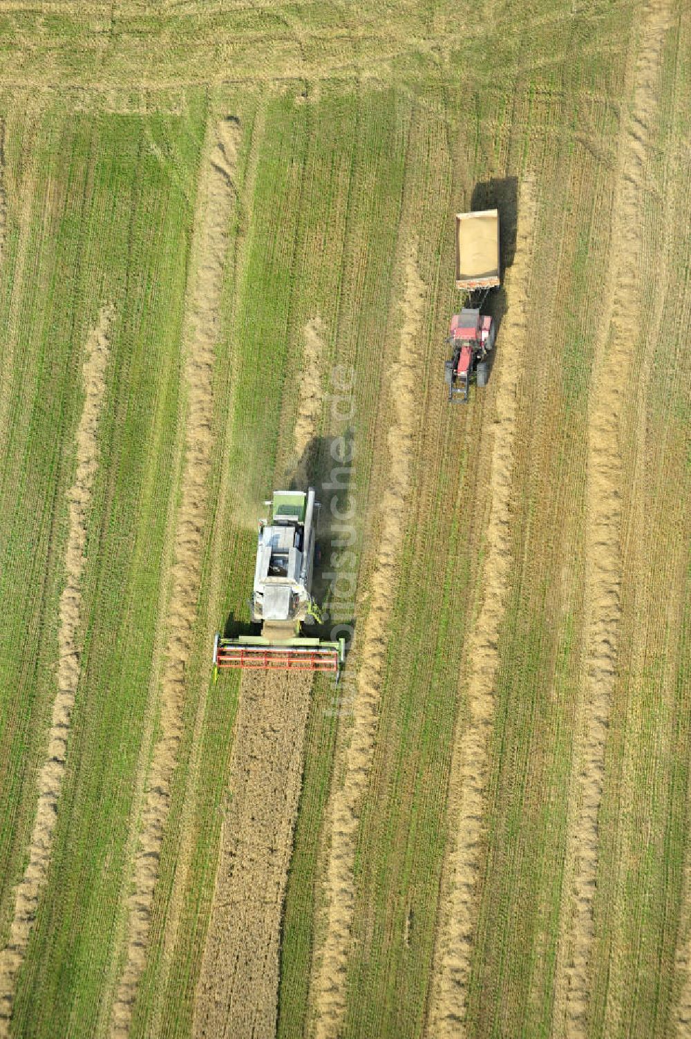 Senkrecht-Luftbild Görkwitz - Getreideernte auf einem Feld bei Görkwitz