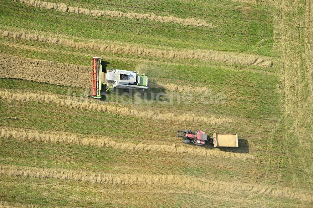 Senkrecht-Luftbild Görkwitz - Getreideernte auf einem Feld bei Görkwitz