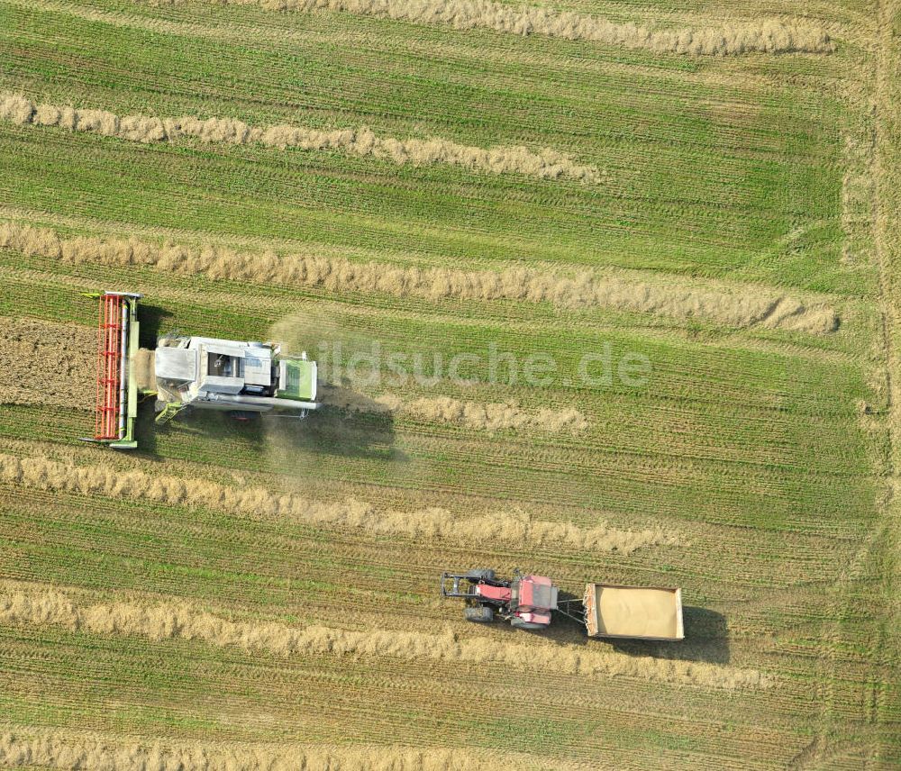 Senkrecht-Luftbild Görkwitz - Getreideernte auf einem Feld bei Görkwitz