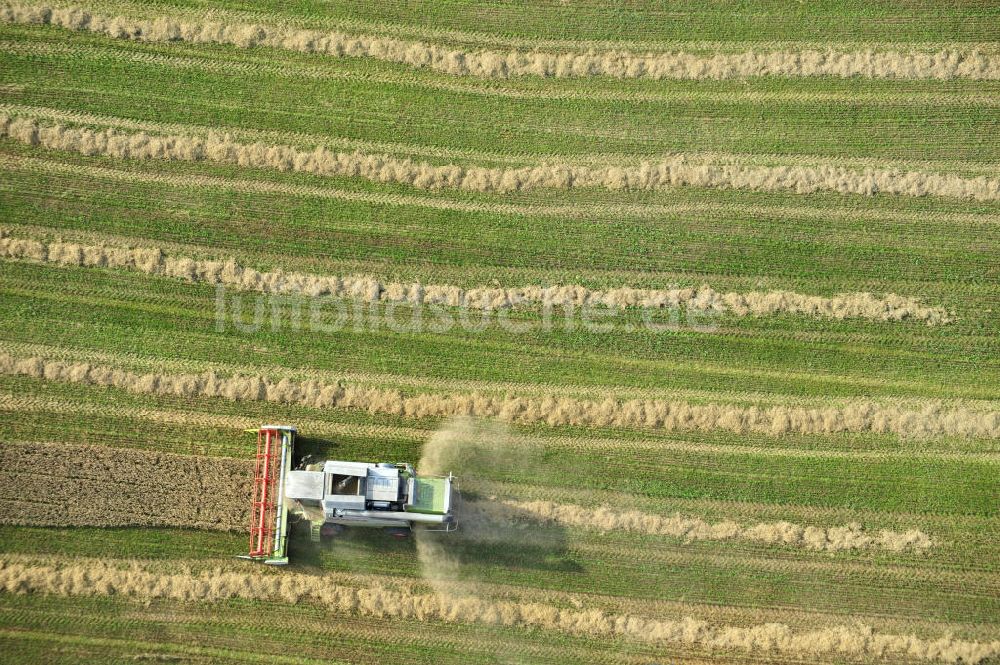 Senkrecht-Luftbild Görkwitz - Getreideernte auf einem Feld bei Görkwitz