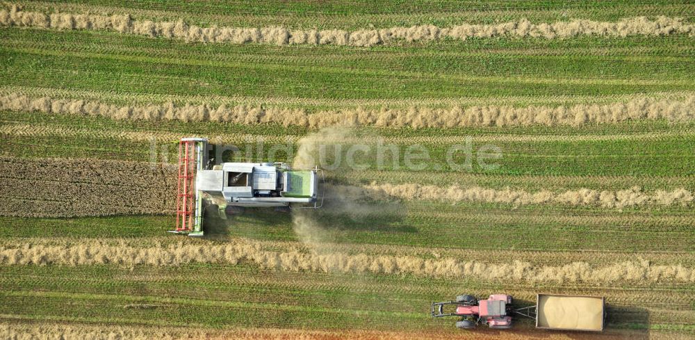 Senkrecht-Luftbild Görkwitz - Getreideernte auf einem Feld bei Görkwitz