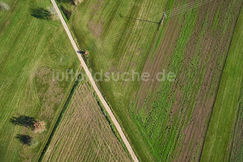 Senkrecht-Luftbild Engelsbrand - Senkrechtluftbild Grasflächen- Strukturen einer Feld- Landschaft in Engelsbrand im Bundesland Baden-Württemberg, Deutschland