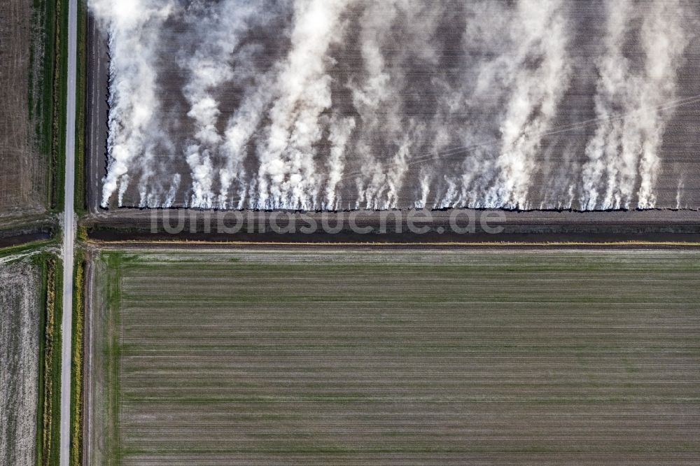 Senkrecht-Luftbild Friedrichskoog - Senkrechtluftbild Kontrollierte Resteverbrennung auf Feld- Flächen in Friedrichskoog im Bundesland Schleswig-Holstein, Deutschland