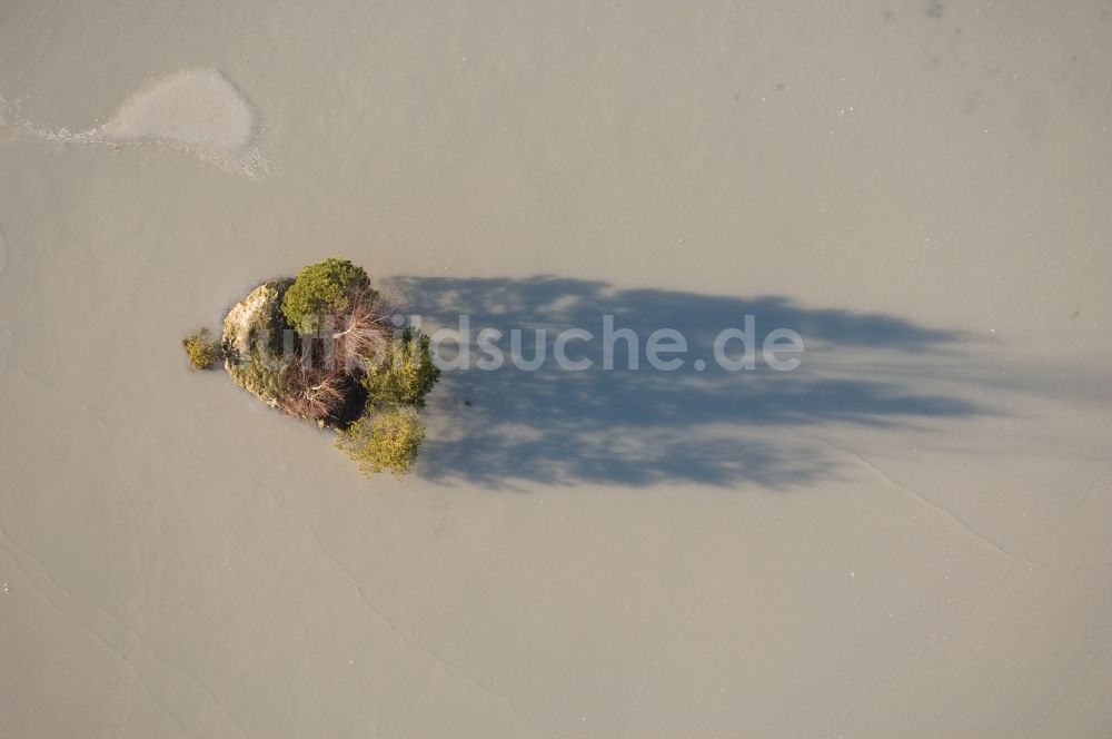 Senkrecht-Luftbild Dom-Esch - Senkrechtluftbild See- Insel Baum- Gruppe auf dem Baggersee der Kieswerke in Dom-Esch im Bundesland Nordrhein-Westfalen, Deutschland